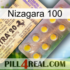 Nizagara 100 new06